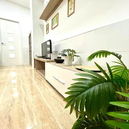 Apartment Rosaleda Centro